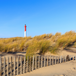 plage-de-la-palmyre