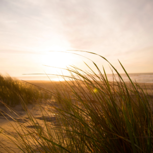 plage-des-dunes