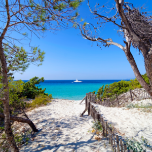 plage-de-saleccia