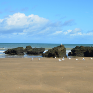 plage-de-la-butte