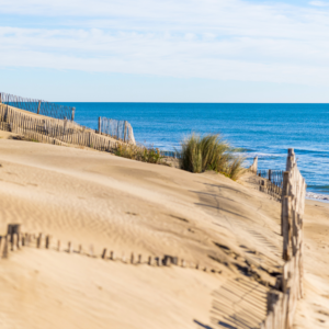 plage-de-l'espiguette