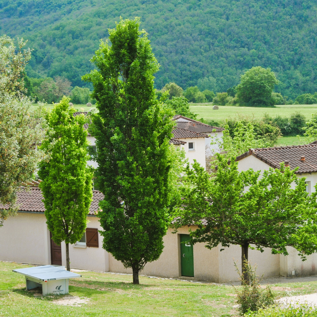 Domaine des Cazelles