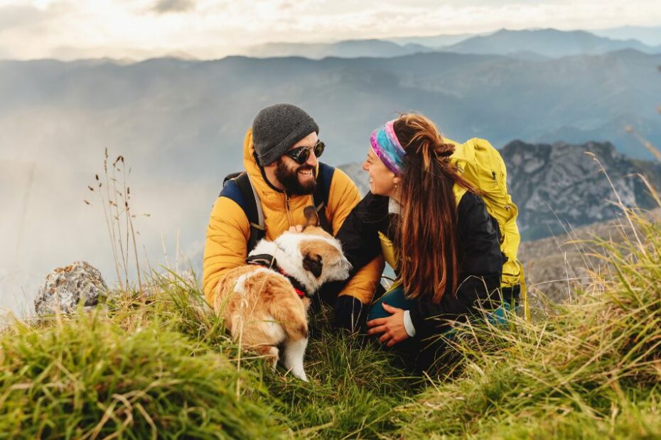 Voyager avec des animaux de compagnie