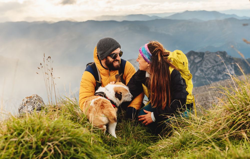 Voyager avec des animaux de compagnie