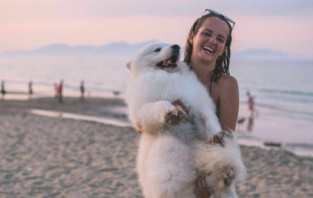 les vacances avec ses animaux de compagnie