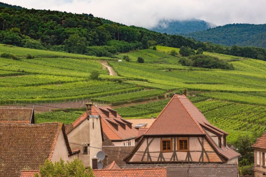 Ruelle fleurie et maisons à colombages du village typique à visiter à Bergheim en Alsace