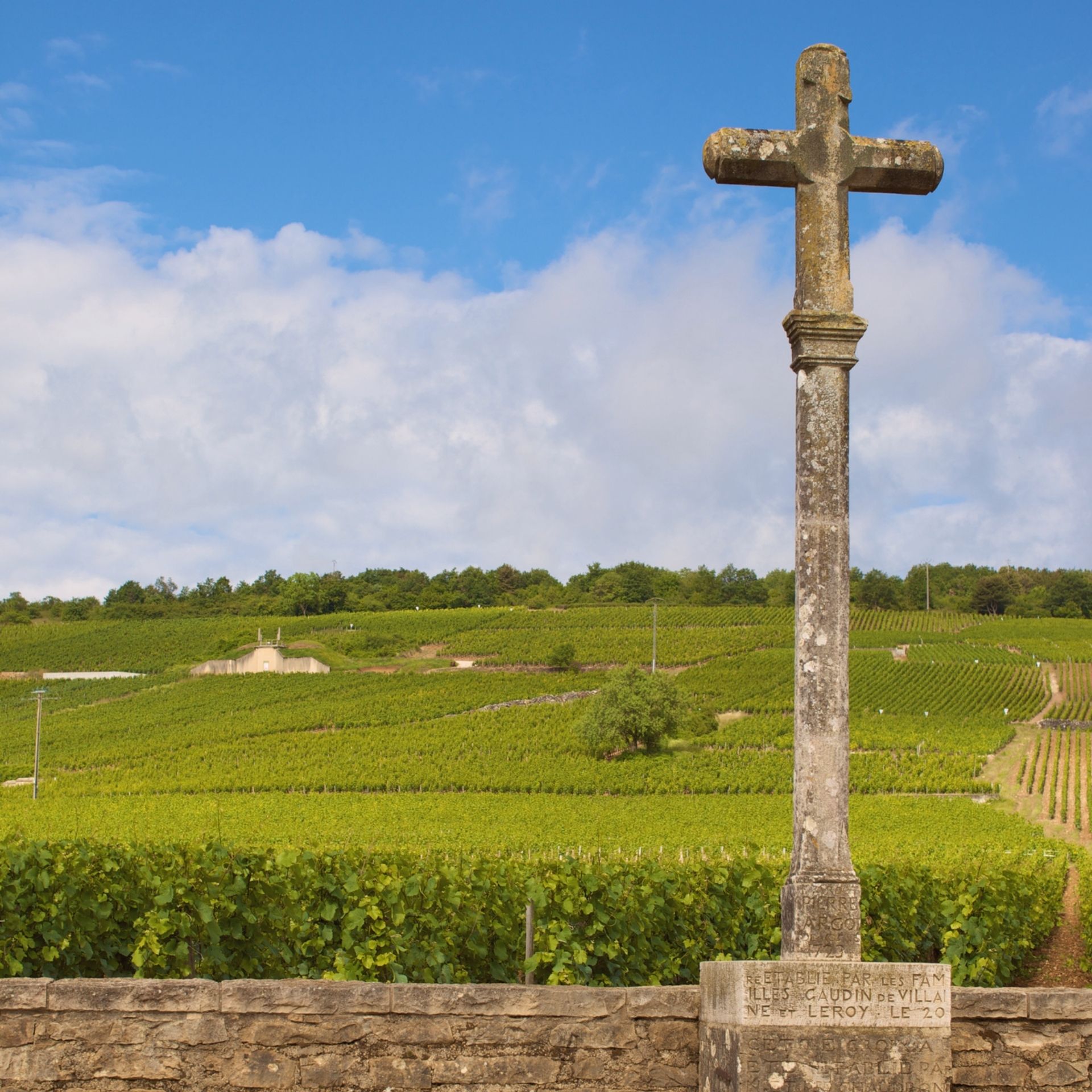 Grand Cru "Altenberg"