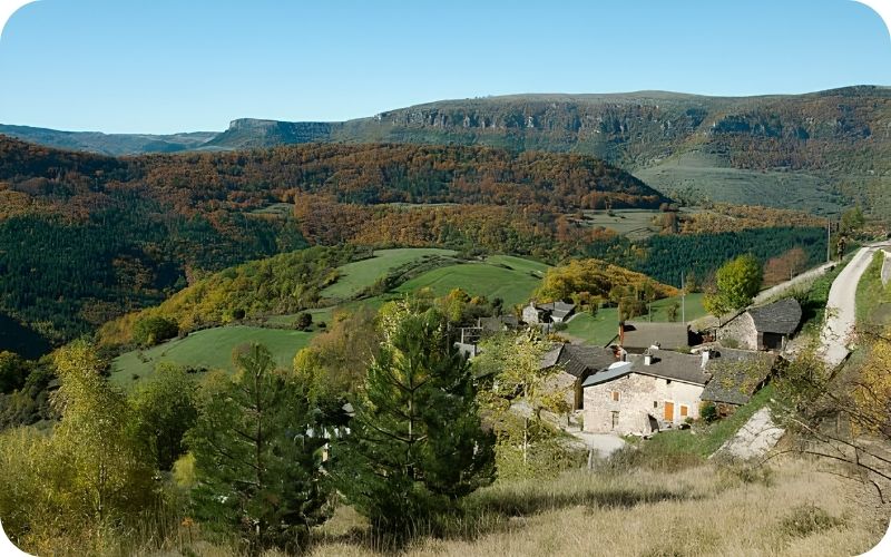 Paysage automnal des Cévennes