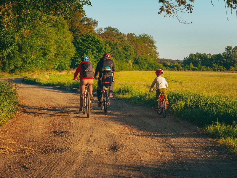 Une famille à vélo sur un chemin de campagne bordé d’arbres et de champs, dans la lumière du soir