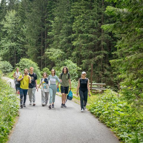 Un groupe d’amis marche sur un chemin au cœur d’une forêt de sapins