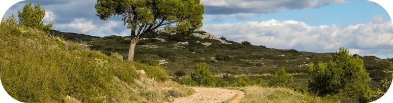Randonnée en famille sur un chemin au cœur de la garrigue