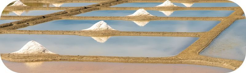 Visite des marais salants en famille, une activité incontournable