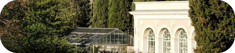 Visite culturelle en famille : le Jardin des Plantes de Montpellier