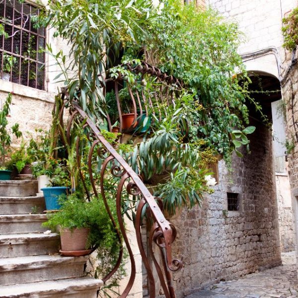 ruelles