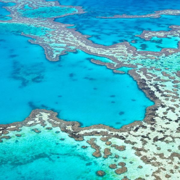 la Grande Barrière de Corail, Australie