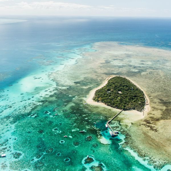 La Grande barriere de Corail - Australie