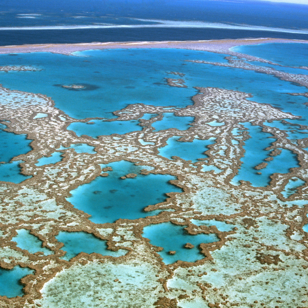 La Grande barrière de Corail - Australie