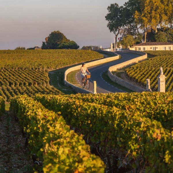 La "Slow-Route" des vins à vélo