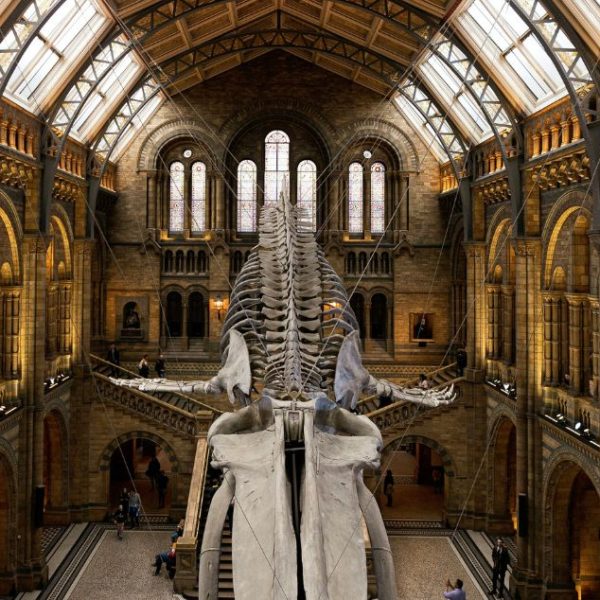 British museum de Londres