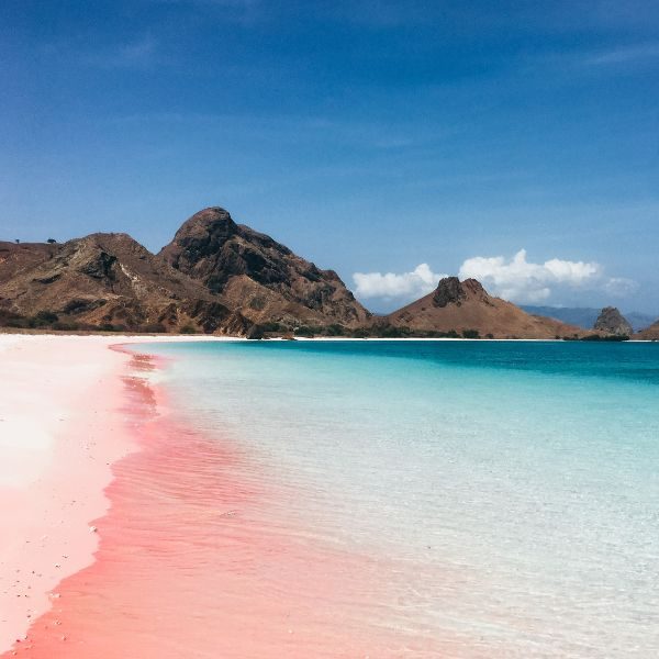 Pink Sands Beach aux Bahamas