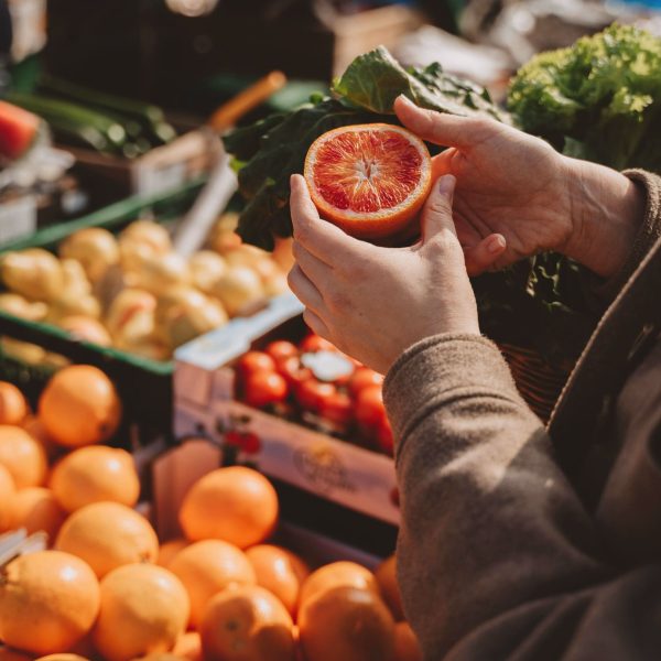 Marché de provence en France