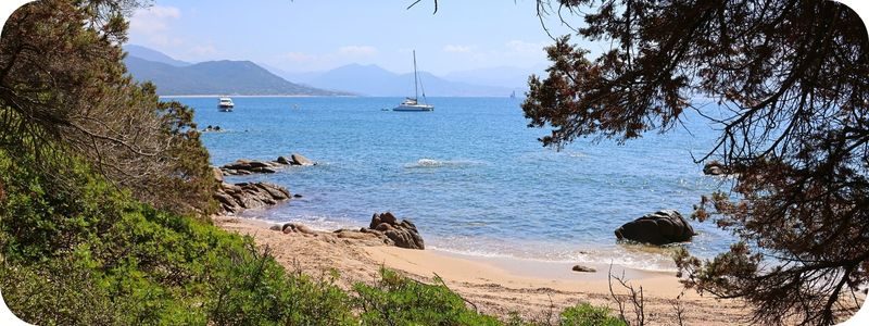 Plage sauvage et mer turquoise en Corse