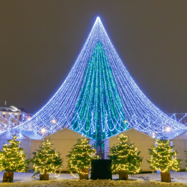 Sapin-noël-Vilnius-lituanie