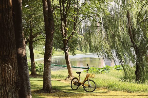 Balade à vélo le long de la Loire à Vorey-sur-Arzon en Auvergne