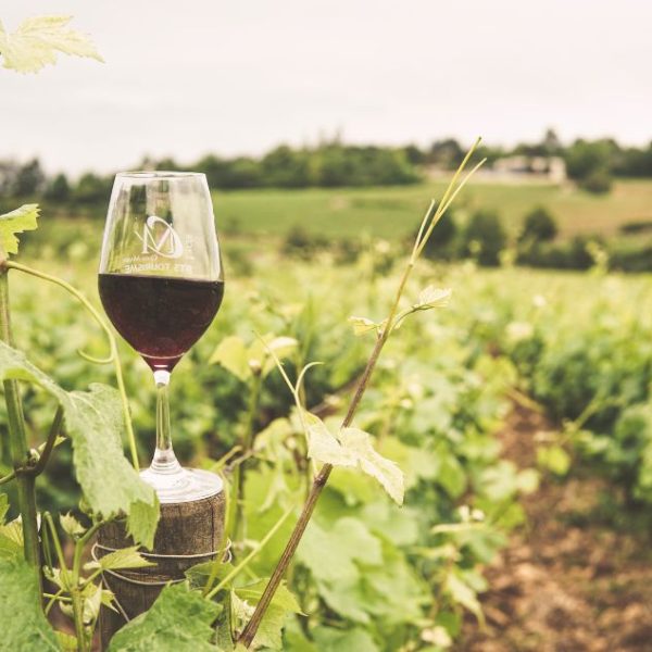 route des vins d'alsace