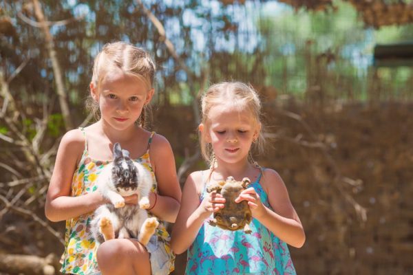 Activités avec les enfants pendant les vacances et les animaux de compagnie