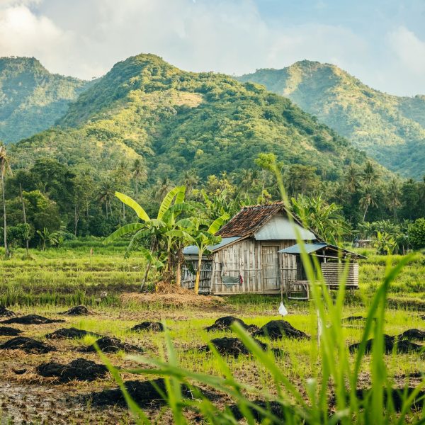 Vacances à Amed Bali decor