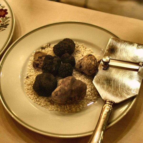 Gastronomie vacances sud ouest , truffes dans lassiette