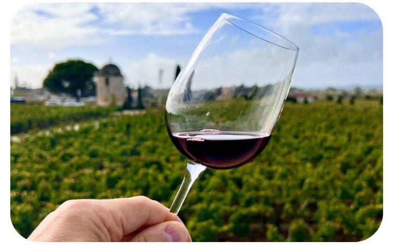 balade-insolite-vignes